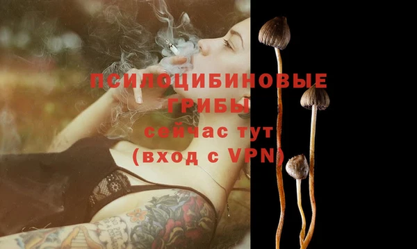 a pvp Бронницы