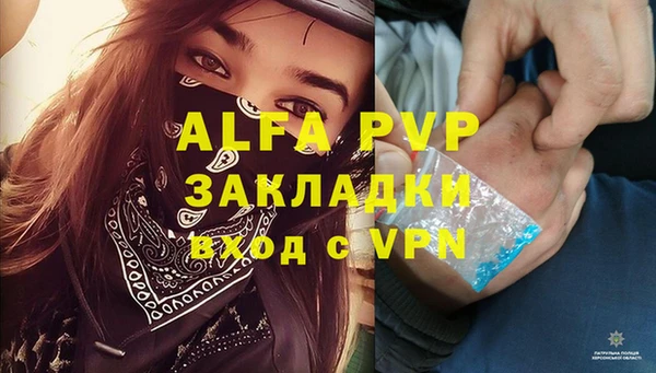 твердый Верея